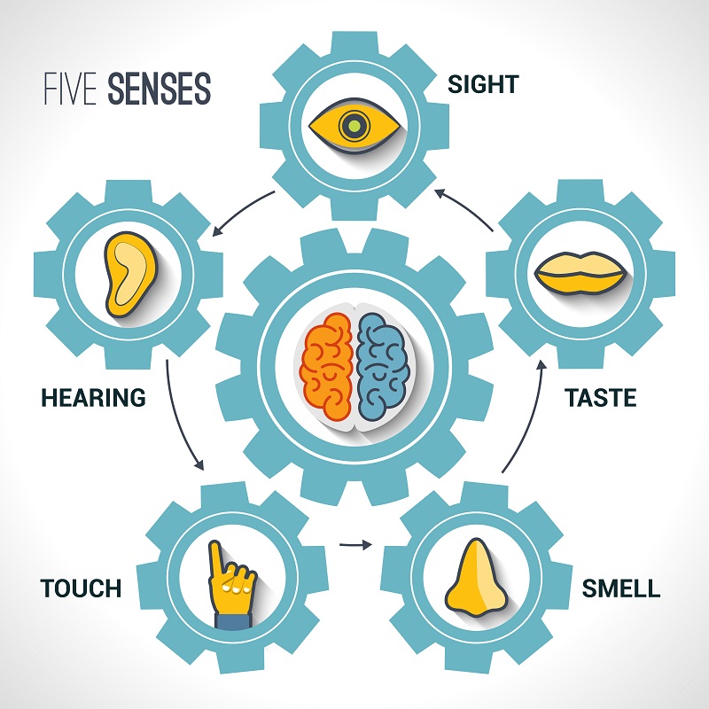 Nlp Visual Words List