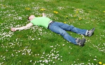 NLP Metaphors