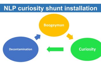 NLP curiosity shunt installation