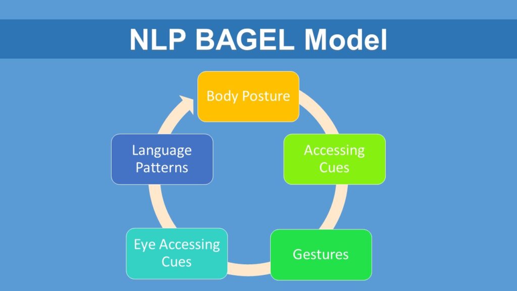 NLP Bagel Model